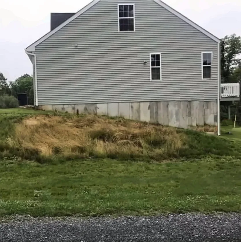 Before: a sloped side yard with a large patch of dry, overgrown grass along the foundation